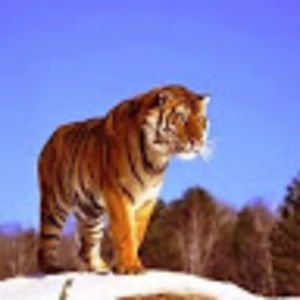 Meet your Posher, Rita